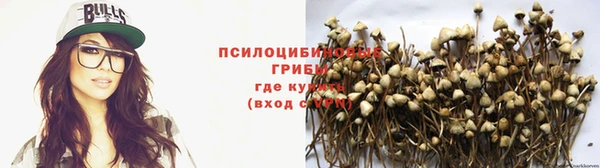 сатива Баксан