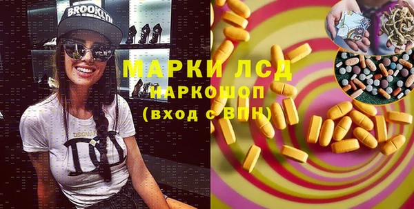 стаф Арсеньев