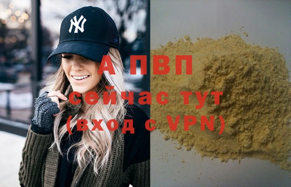 сатива Баксан