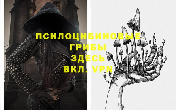 сатива Баксан