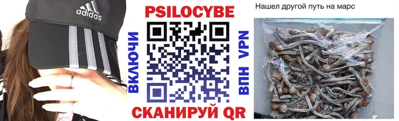 Галлюциногенные грибы Cubensis  купить закладку  Нязепетровск 